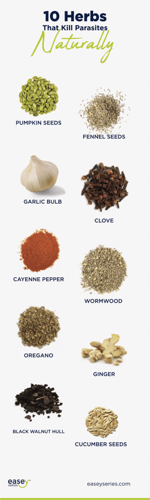 Easey Series - 10 Herbs to Naturally Kill Parasites